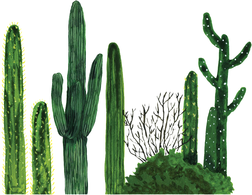 Nopal - Cactus Png (1024x714), Png Download