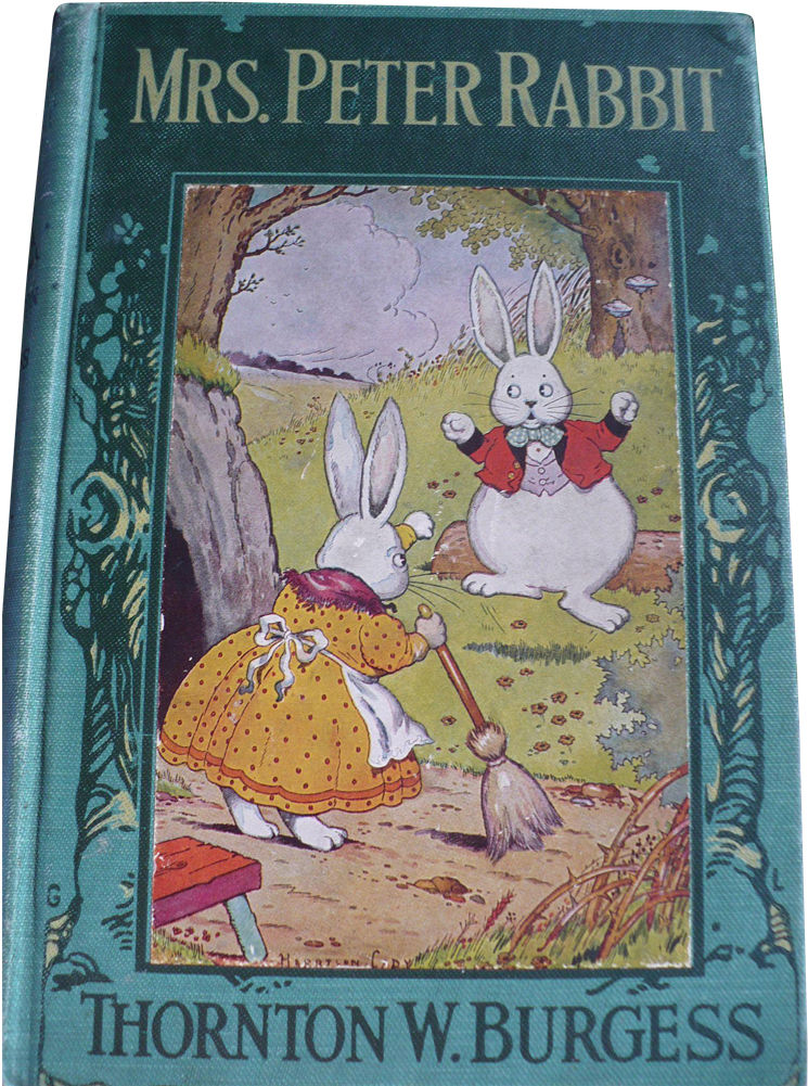 Peter Rabbit 1919 First Edition Book Www - Book (1000x1000), Png Download