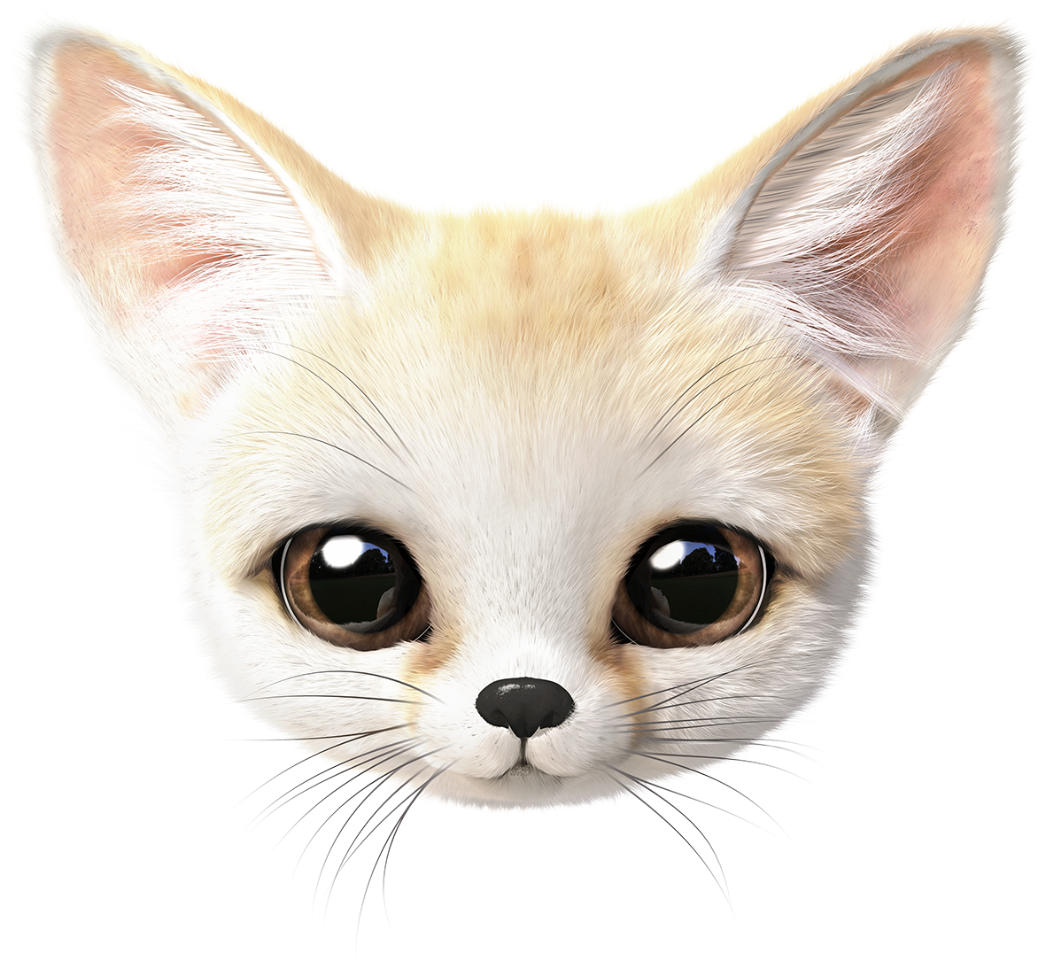 Thank You - Cat (1200x1200), Png Download