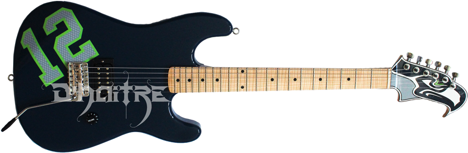 Beauty Of The Seattle Seahawks - Seahawks Guitar (1000x395), Png Download