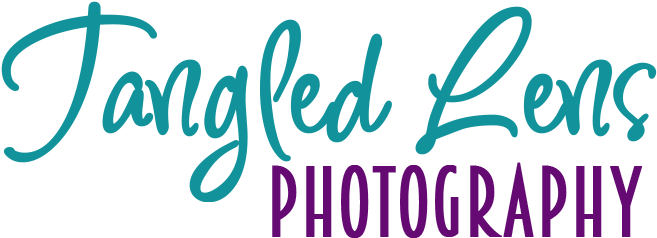 U946372912 O594667750 111 - Calligraphy (1440x432), Png Download