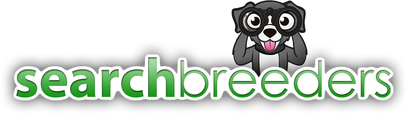 Logo - Australian Shepherd (1359x408), Png Download