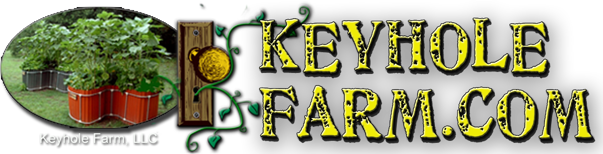 Plant Your Garden In A Keyhole (1200x303), Png Download