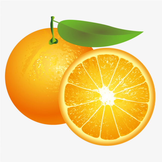 Orange Slice - Citrus × Sinensis (866x650), Png Download