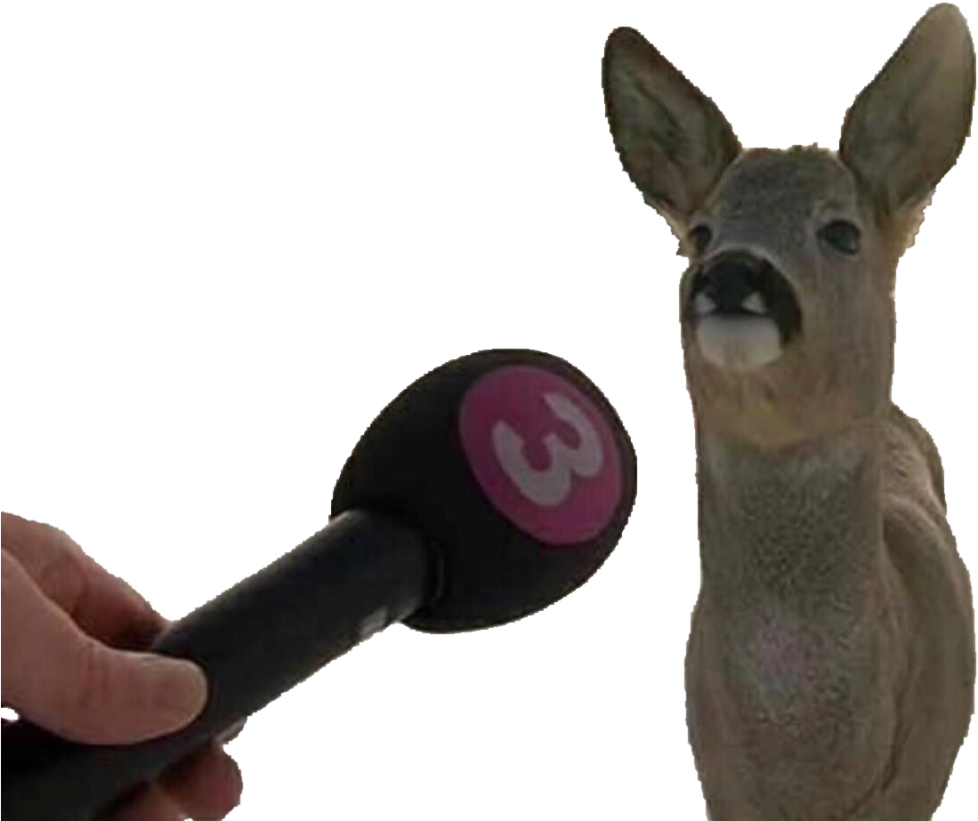 Png Library Download Psbattle This That Has A Story - Do You Know You Re A Deer (1118x936), Png Download