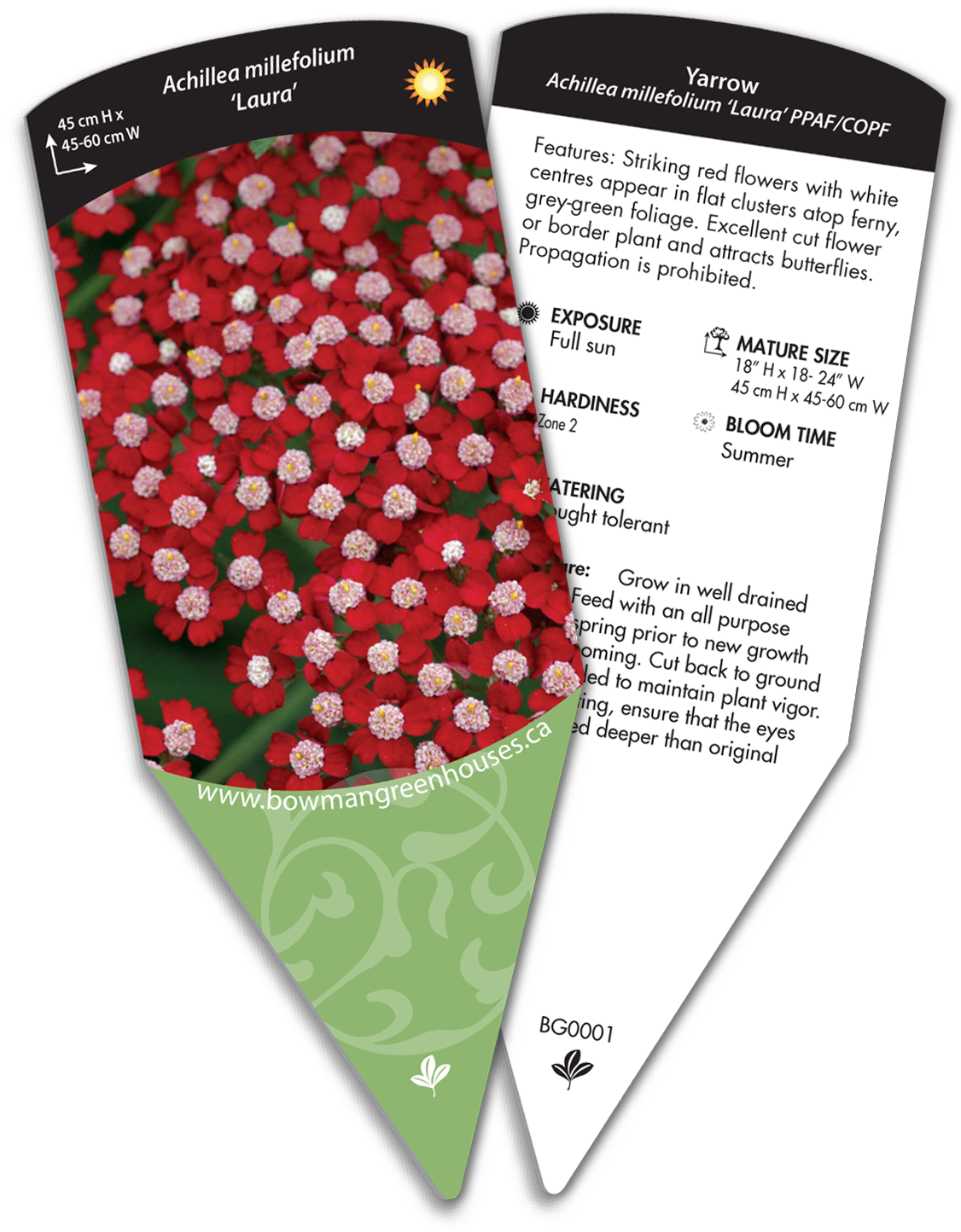 Bowmans (1248x1532), Png Download