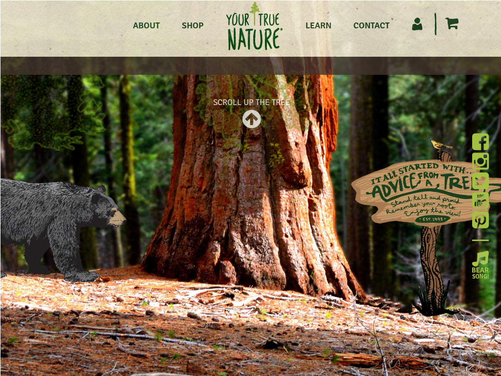 Website History - Redwood (1024x2118), Png Download