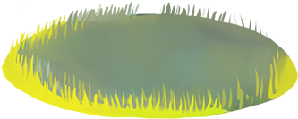 Flowey - Colorado Spruce (600x846), Png Download