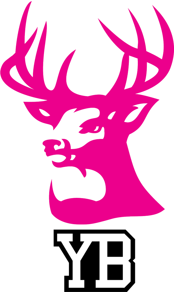 Young Bucks On Twitter - Buck Wear (600x1030), Png Download