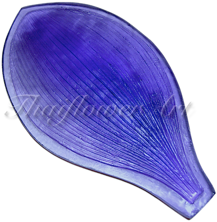 Shell (640x480), Png Download