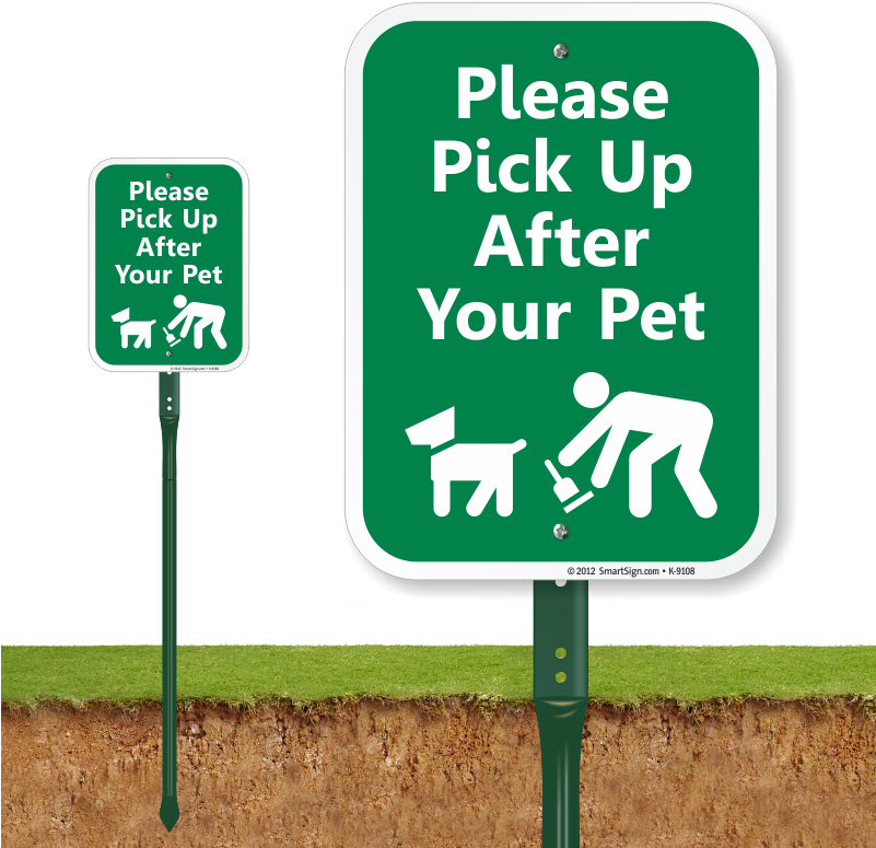 Zoom, Price, Buy - Dog Is A God (800x800), Png Download