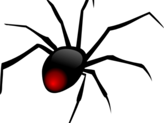 Original - Black Widow Spider (640x480), Png Download