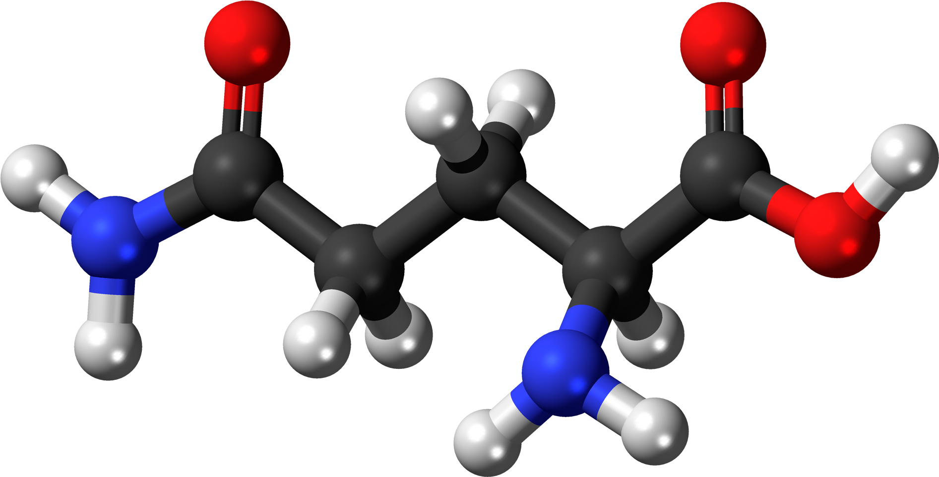 L Glutamine 3d Balls - Glutamine Ball And Stick (2000x1069), Png Download