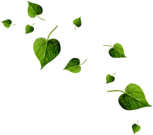 Braun Strowman 2017 Png - Portable Network Graphics (800x800), Png Download