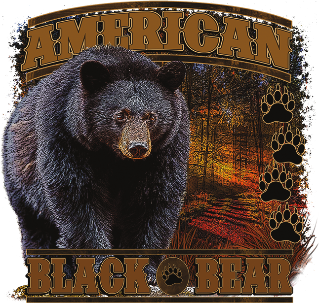 American Black Bear (675x675), Png Download