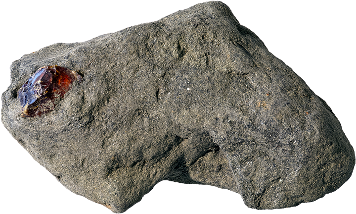 Handgun Holster (750x550), Png Download