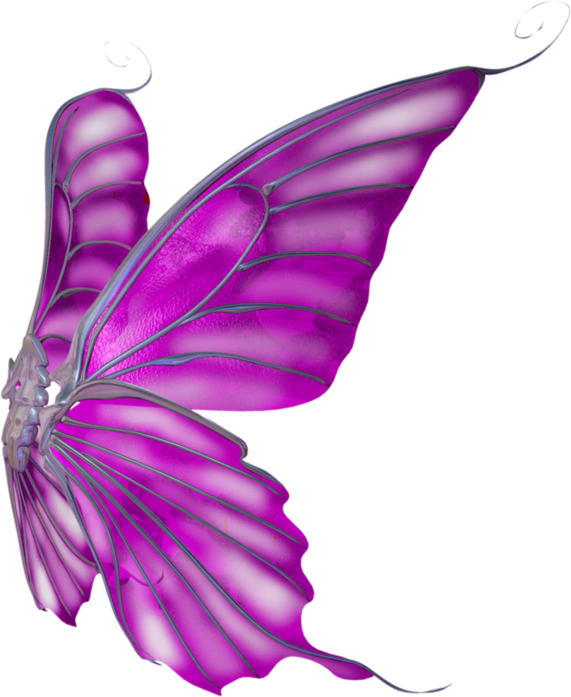 Butterfly Wings Png - Free To Be Me Journal: Succeed: Level 3 (809x987), Png Download