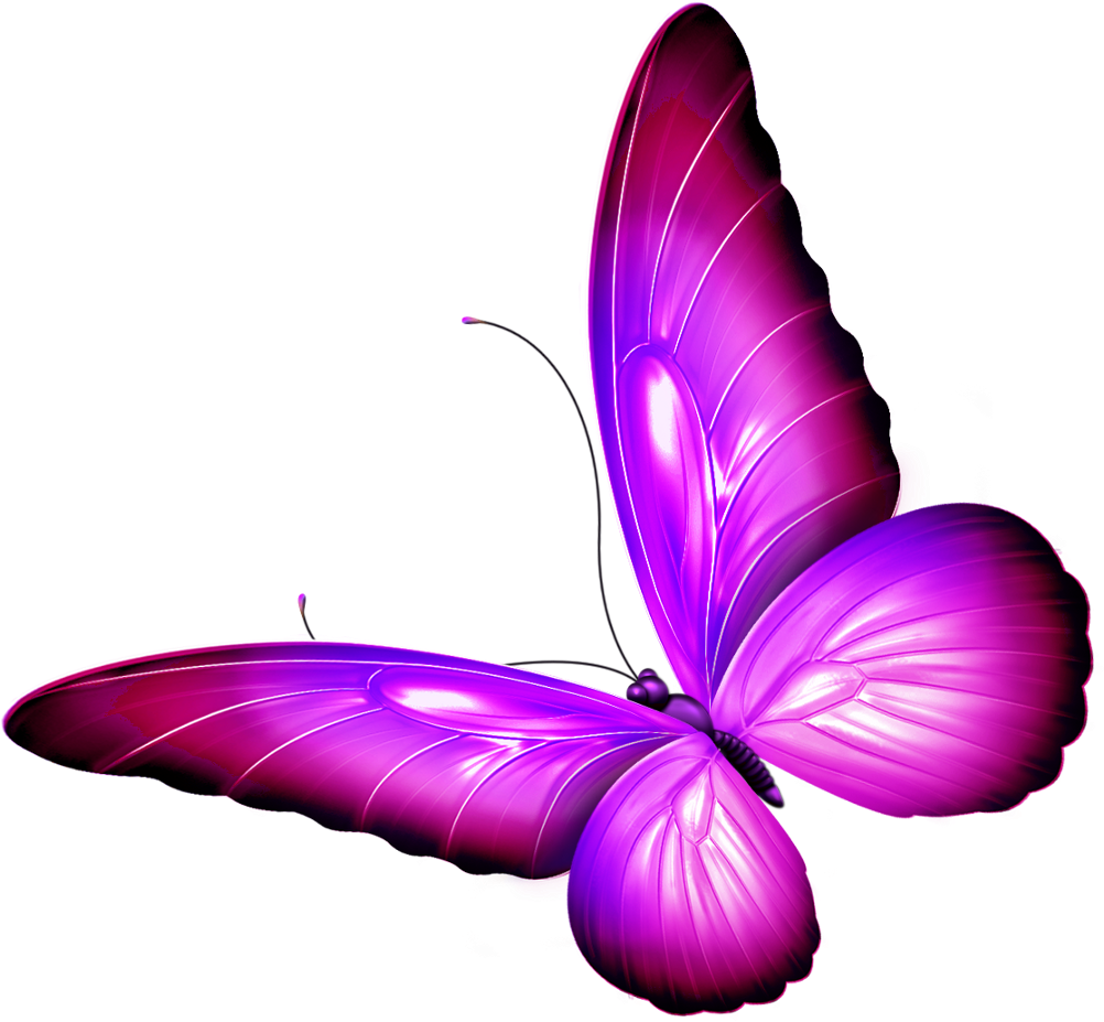 Butterfly Wings Pink Purple Shaded Wingedcreatures - Purple (1106x1024), Png Download