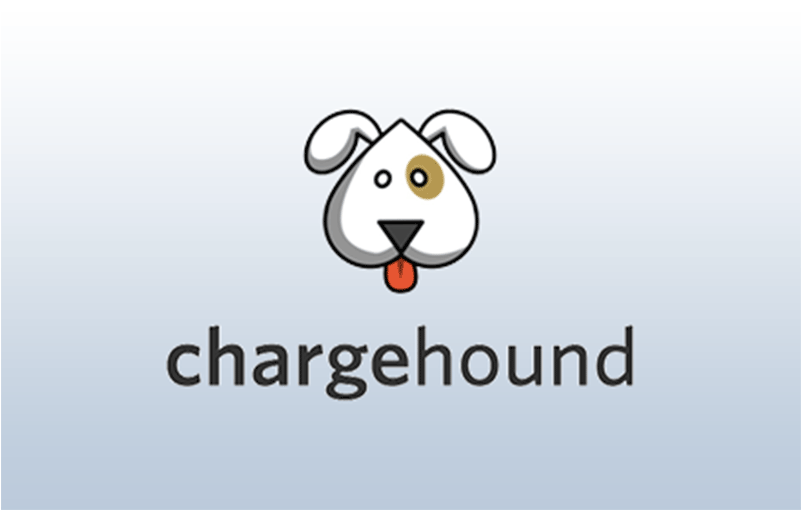 Chargehound - Cafepress Crazy Dog Lady Throw Pillow (800x800), Png Download