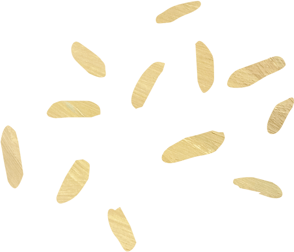 White Rice (1200x630), Png Download