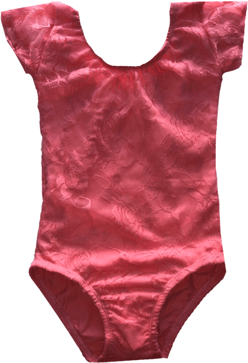 Leotard Coral Lace Cap Sleeve Leotard - Sleeve (1024x768), Png Download