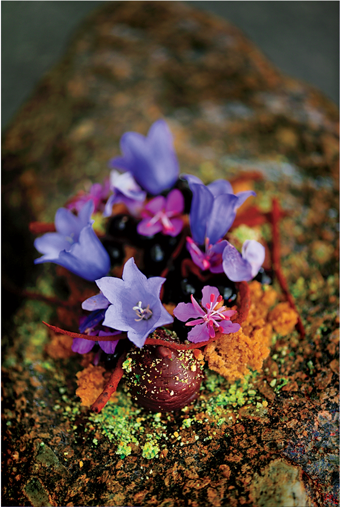 Greenland0715-garnish - Garnish (1600x1000), Png Download