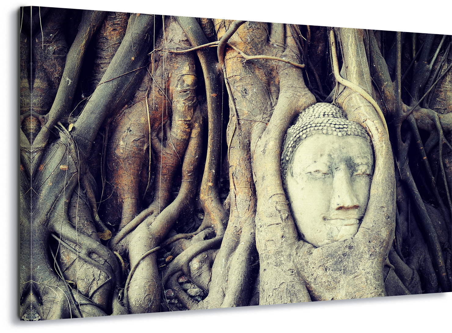 Bouddha Tree Root Toile Art & Mur De Verre Art Toile - Ayutthaya Kingdom (1600x1105), Png Download
