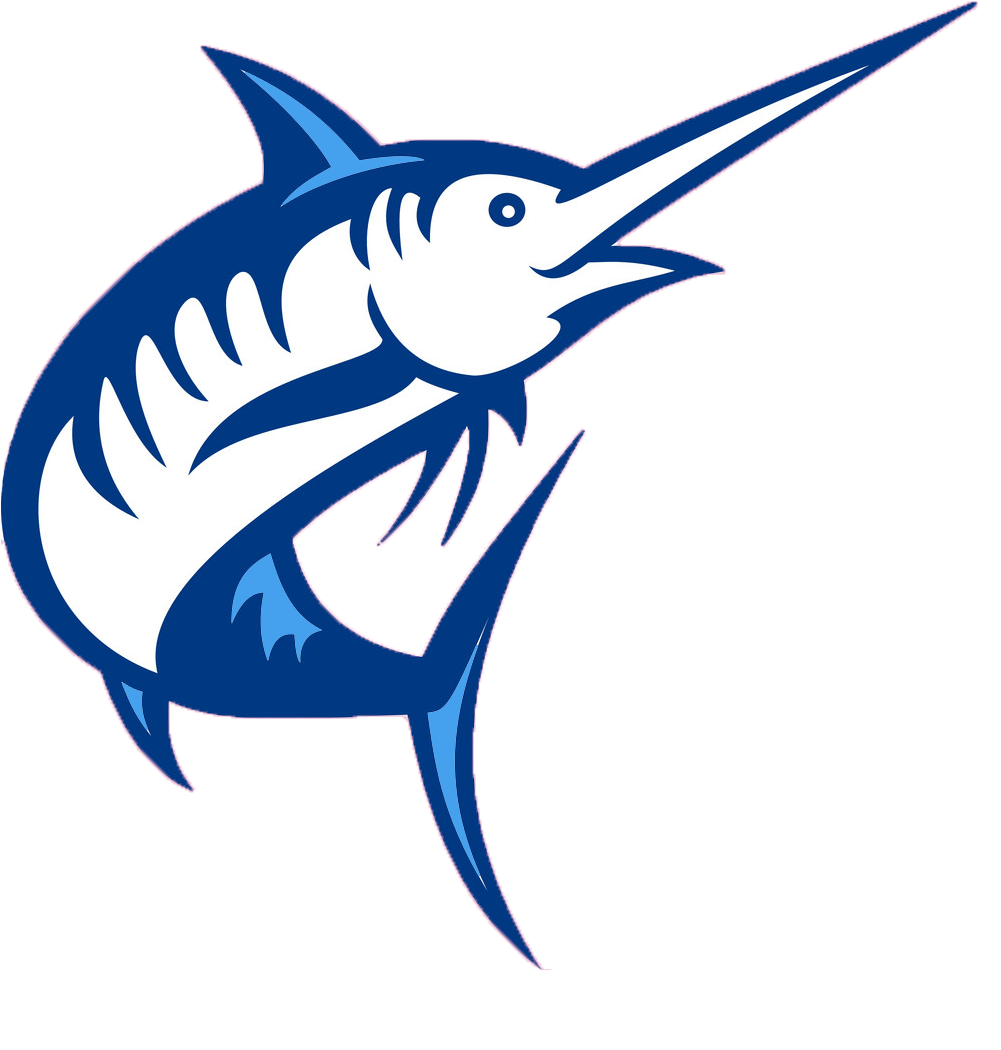 Professional Service - Marlin Fish Vector Free (1000x1060), Png Download
