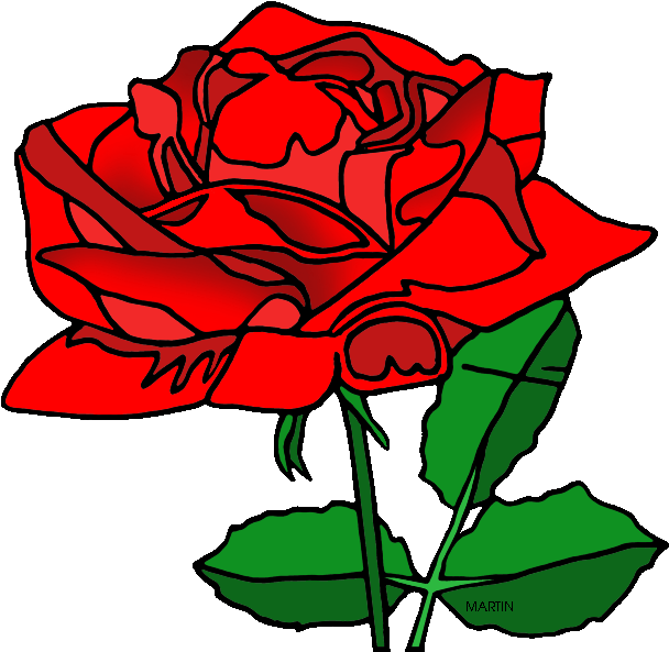 Red Rose Clipart American Beauty - Phillip Martin Flower (648x629), Png Download