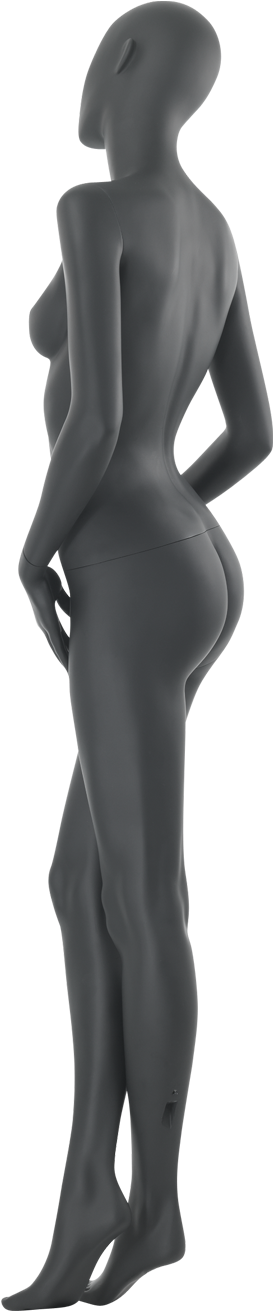 Specifications - Standing (1500x1500), Png Download