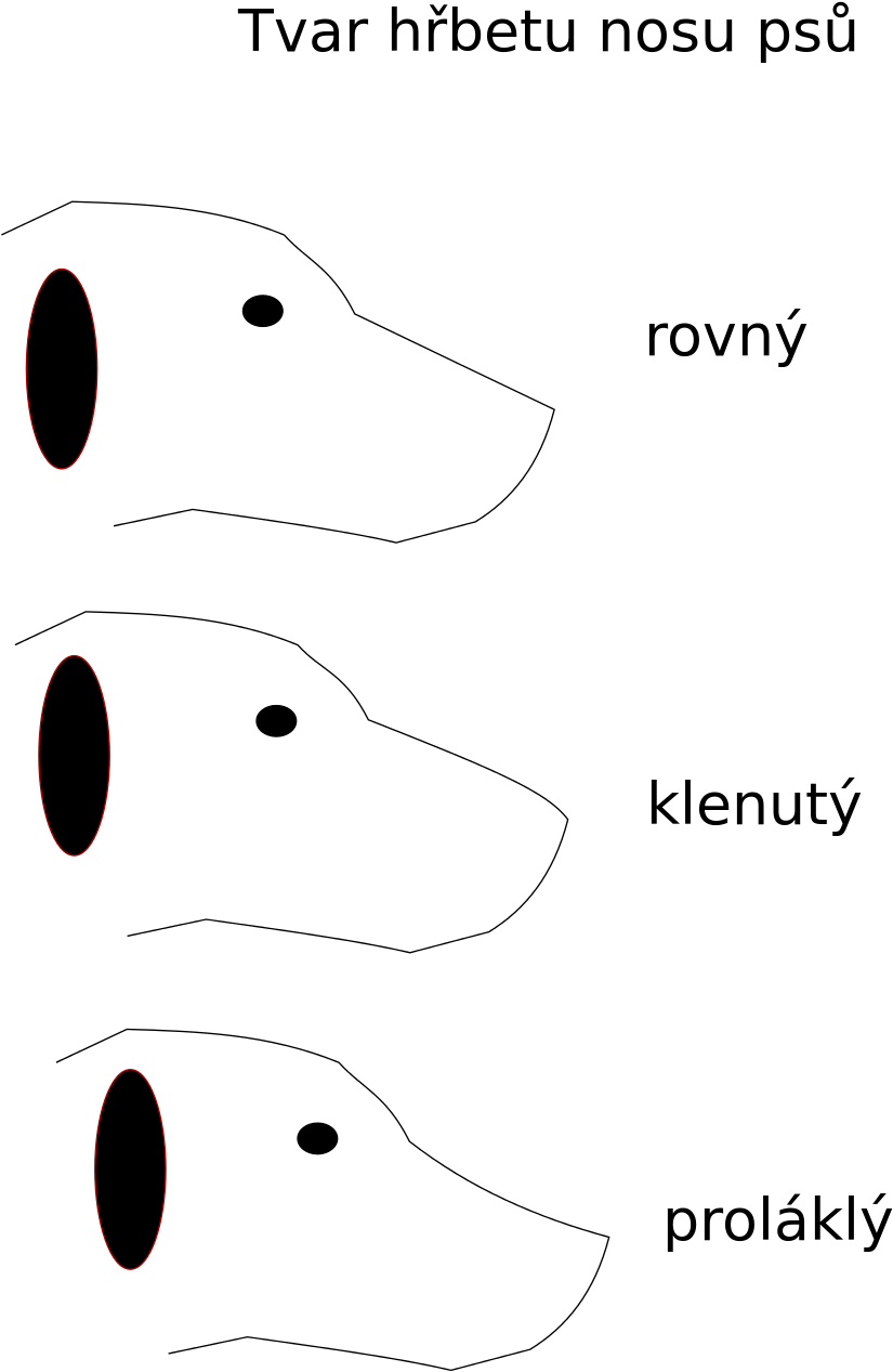 Open - Dog Snout Shapes (1000x1414), Png Download