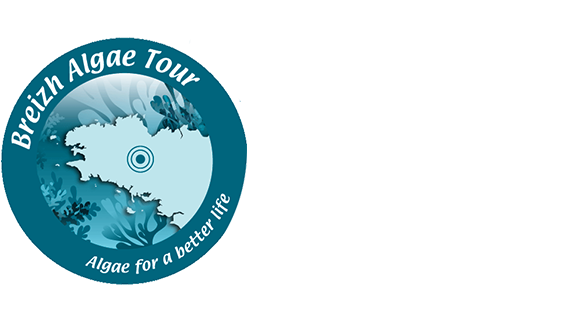 Circle (600x330), Png Download