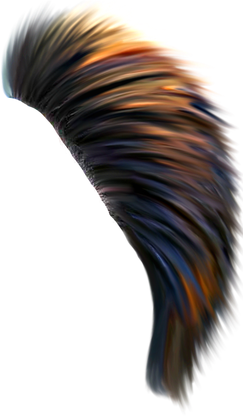 Share - Eyelash Extensions (1080x1080), Png Download