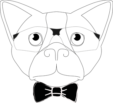 Dog, Animal, Pet, Sunglasses, Bow Tie - Dog (373x340), Png Download