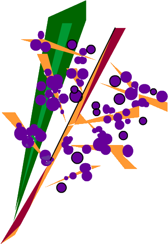 Palm Fruits - Graphic Design (500x500), Png Download