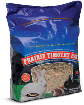 Prairie Timothy Hay - Domestic Rabbit (325x401), Png Download