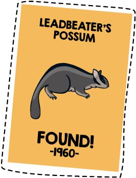 Conservation (301x401), Png Download