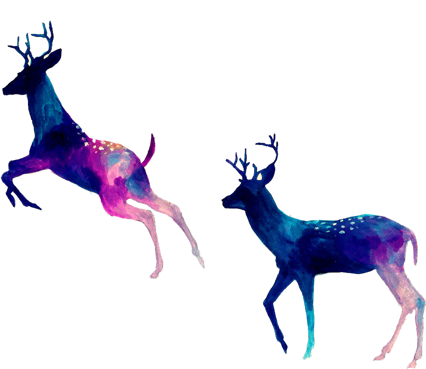 Drawing Antlers Caribou Antler - Watercolor Silhouettes (1024x881), Png Download