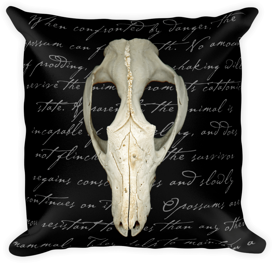 Possum Skull Pillow - Throw Pillow (1000x1000), Png Download