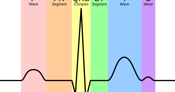 Monitoring Your Ecg With A Portable Inexpensive Device - Electrocardiograma Normal (581x305), Png Download