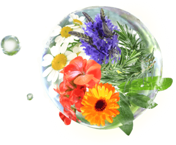 Pc Pinkcross Fv Water 0007 - Bouquet (1500x770), Png Download