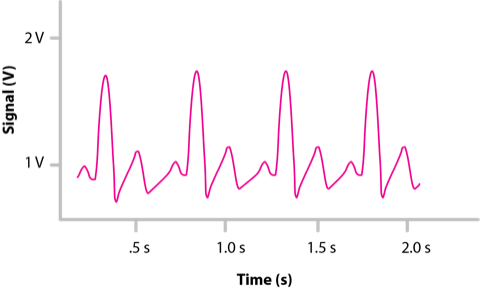 Suppose A Rare Genetic Mutation Doubles The Diameters - Dog Licks (480x289), Png Download