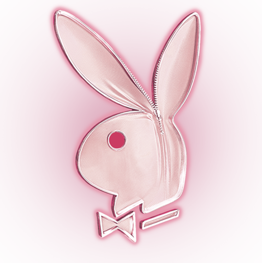 Super Playboy For Her - Dragonfly (513x515), Png Download