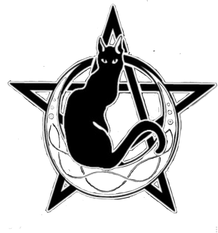 Cat And Crescent Moon (741x792), Png Download