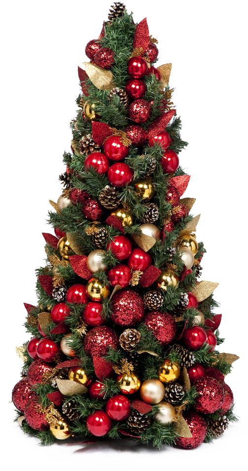Christmas Tree - Christmas Day (503x952), Png Download