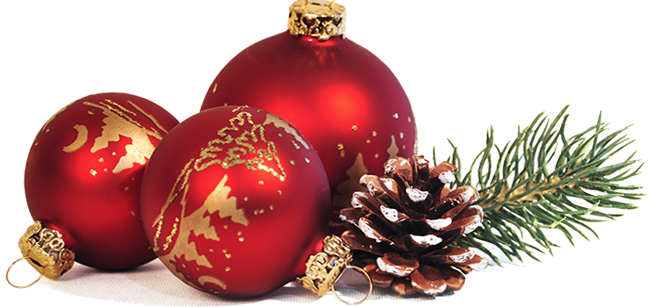 Per Adult - - Christmas Package Png (650x307), Png Download
