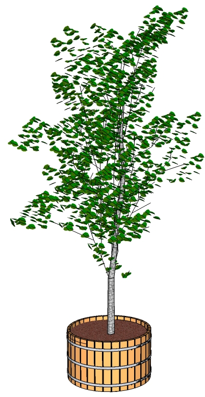 Large Wooden Planter - Tree With Tub Png (1212x860), Png Download