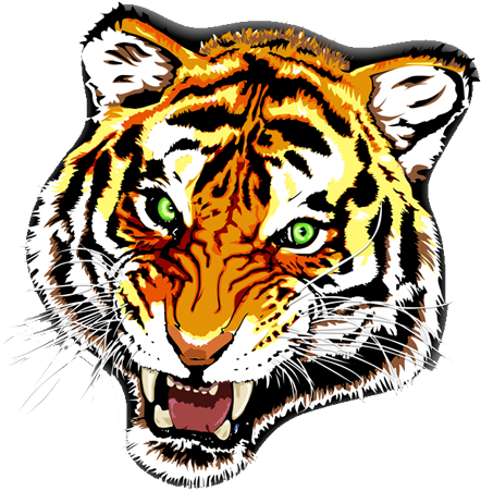 Tiger Tattoos Designs 81 1 - Tattoo Colour Png Hd (450x462), Png Download