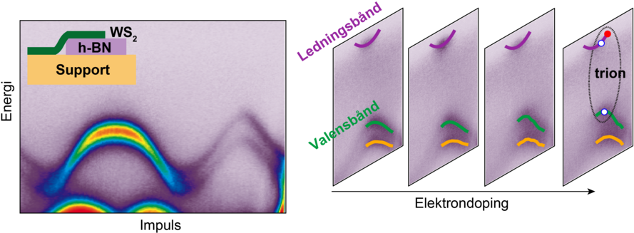 The New Particle - Researcher (900x344), Png Download