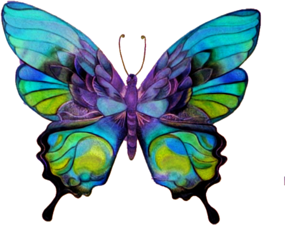 Download Butterfly Pretty Wings Sticker Freetoedit Butterfly Transparent PNG Download SeekPNG